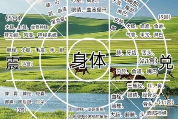 五行性格解析：揭秘你的命运轨迹，走出人生困境