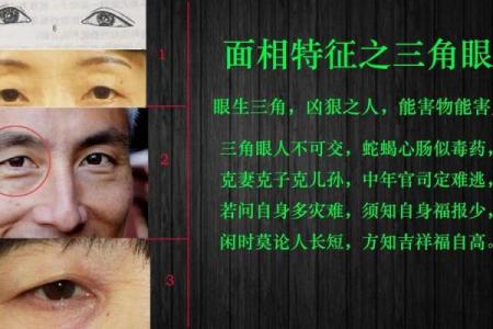 方脸命理大揭秘：面相与命运能否真的改变