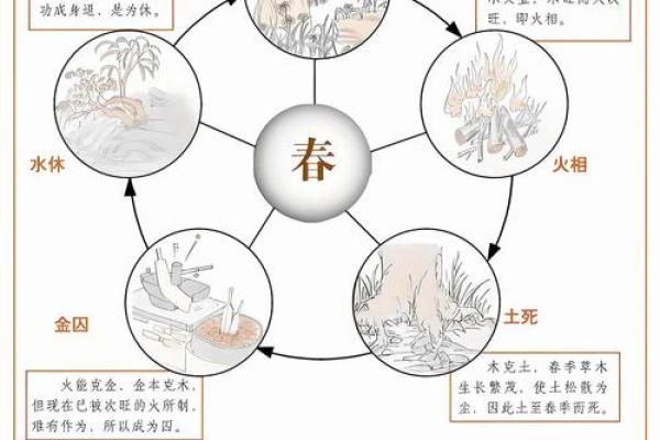 染五行格局揭秘：性格解析的五大元素密码