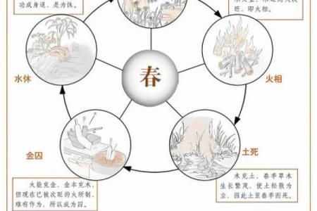 染五行格局揭秘：性格解析的五大元素密码