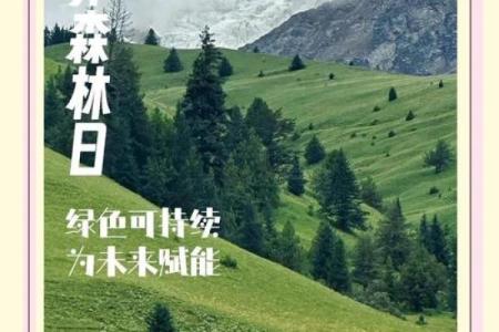 世界森林日：保护绿肺，守护地球家园