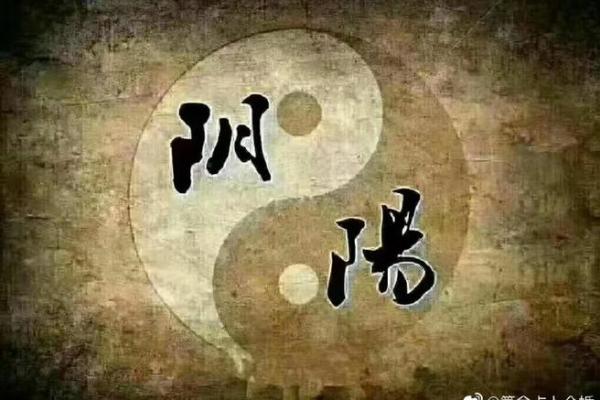 四神兽命理揭秘：如何看合婚，能否改运？命运不同有解吗？