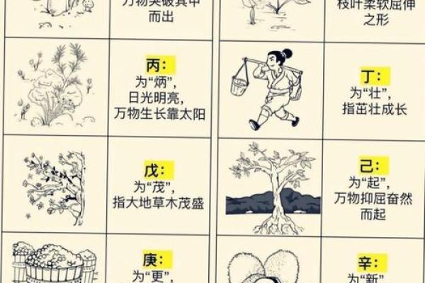 性格解析五行格局：走出性格局限，成就非凡人生