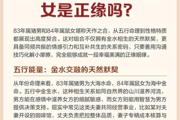 属鼠人的性格密码：五行格局解析，反而能助你更上一层楼