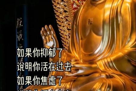 佛诞：感悟慈悲与智慧，弘扬佛教文化