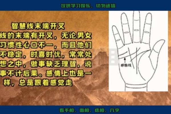 揭秘手背痣命理的奥秘：能改变命运吗？看合婚如何影响婚姻？