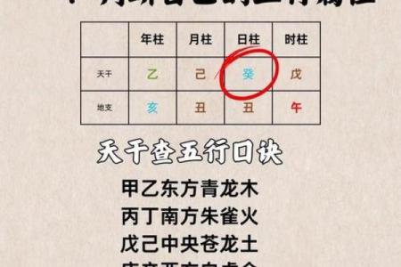 如何改变五行号码，重塑你的命运格局？揭秘