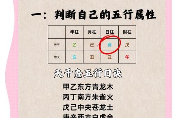 五行性格解析：摆脱误区，掌握改变命运的秘诀