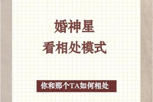 解析星理命坐对运势的影响，合婚时需看哪些要素？