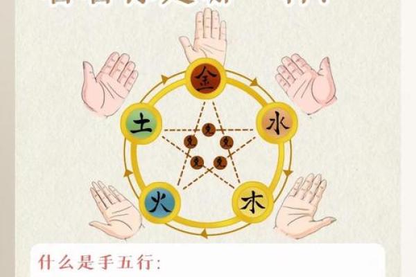 性格解析新篇章：五行格局如何助力个人成长