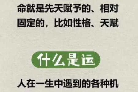 命理练功管解析：能改运吗？合婚看什么，揭秘命运如何影响人生