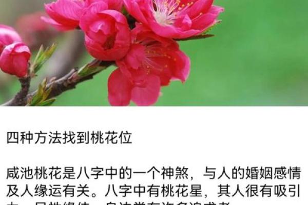 解读八字与异性缘的关系：如何通过命理提升婚姻运？