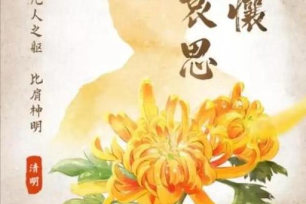 清明节：祭祖踏青，传承千年习俗