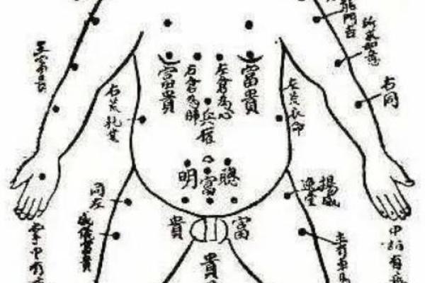 痦子命理图深度解析：命运不尽相同，合婚时如何运用痦子知识