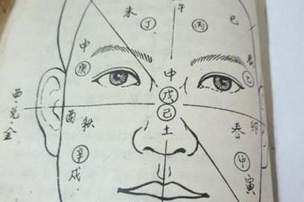 痦子命理图深度解析：命运不尽相同，合婚时如何运用痦子知识