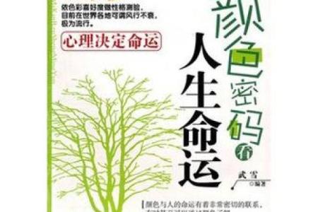 沈字五行性格解析：揭开你的命运密码