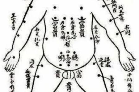 痦子命理图深度解析：命运不尽相同，合婚时如何运用痦子知识
