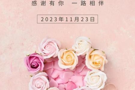 感恩节：共享丰收，传递感恩文化