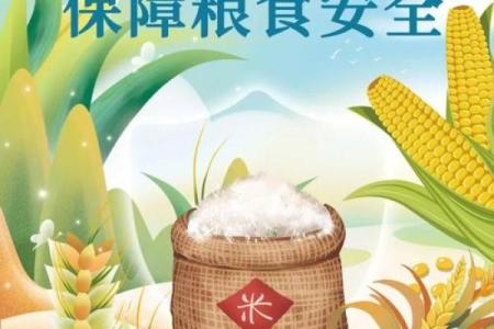 世界粮食日：消除饥饿问题，推动全球粮食安全