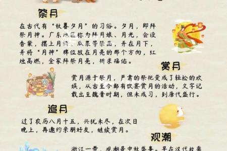 中秋：赏月品酒，感受传统节令文化