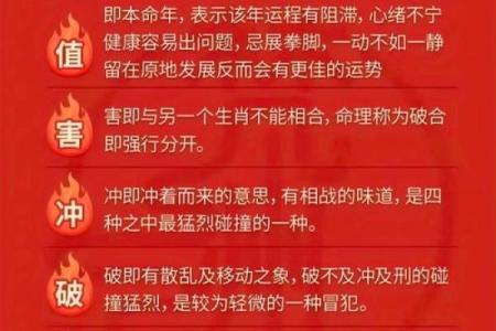 命理宝鉴abc揭秘：改运之道、合婚秘钥与命运差异解析