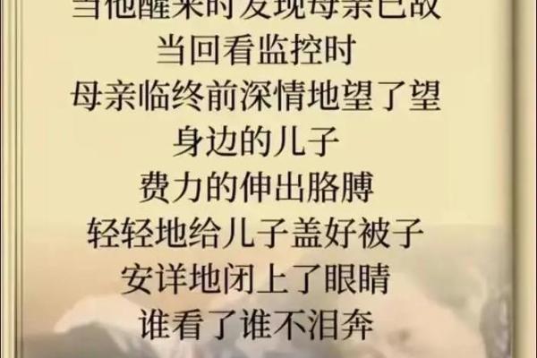 文化传承,感悟母亲的伟大与无私 文化传承,感悟母亲的伟大与无私