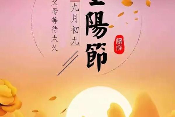 重阳：登高望远，敬老传承美德