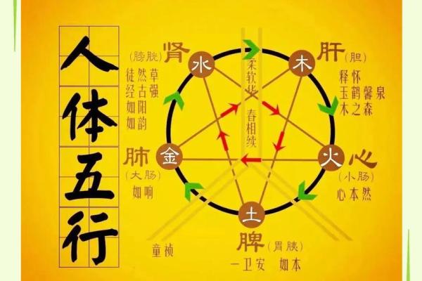 五行格局颠覆性解析:你的性格反而能这样改? 五行格局颠覆性解析:你的性格反而能这样改?