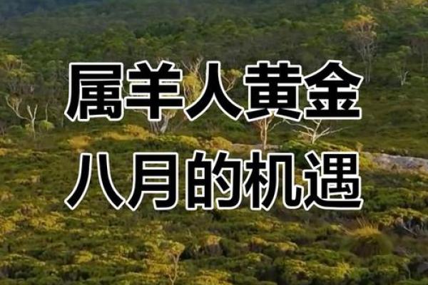 羊年运势大揭秘:五行格局下的性格误区,反而让你更强大 羊年运势大揭秘:五行格局下的性格误区,反而让你更强大