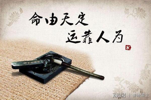 少白头与命理：能改运吗？揭秘命运的关键因素