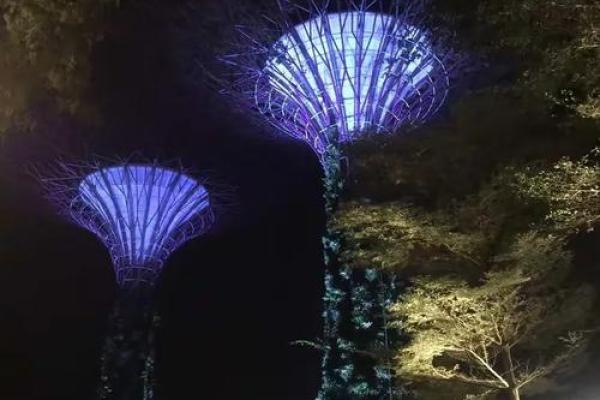 穆斯林节日哈芝之旅与心灵净化 穆斯林节日哈芝之旅与心灵净化