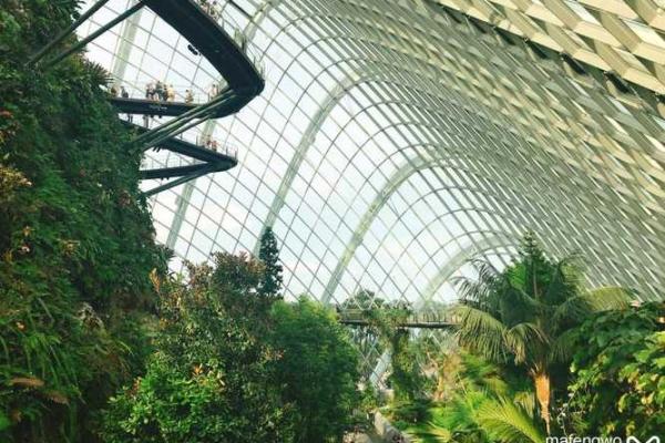 穆斯林节日哈芝之旅与心灵净化 穆斯林节日哈芝之旅与心灵净化