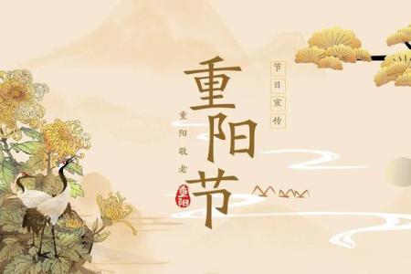 重阳：尊老敬老，传承节日文化