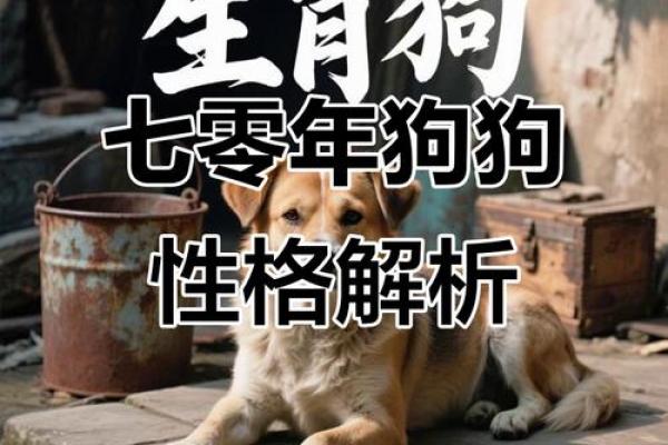 五行格局揭秘:狗年运势如何,性格解析告诉你关键 五行格局揭秘:狗年运势如何,性格解析告诉你关键