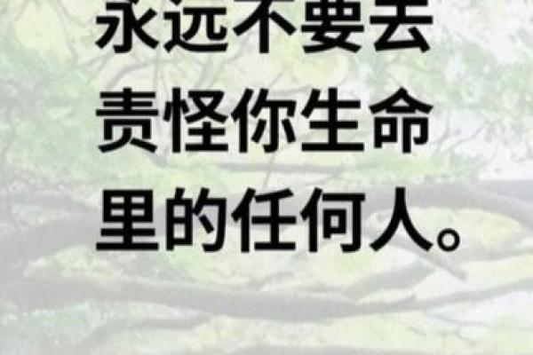 世界人道日:关爱他人,倡导人道精神 世界人道日:关爱他人,倡导人道精神