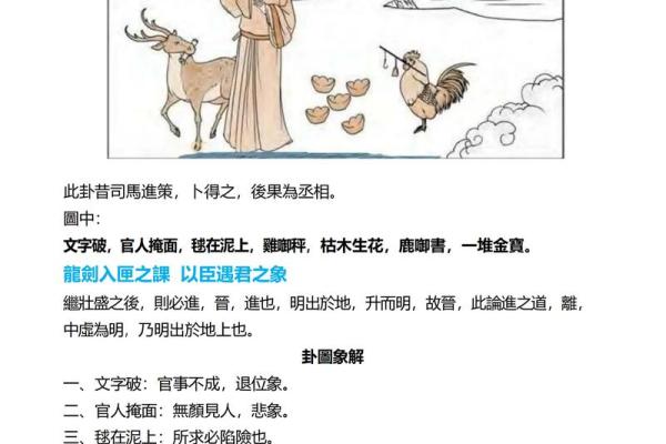 火象女孩性格误区大揭秘：颠覆传统认知的五行格局