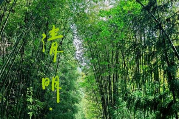 清明节：踏青养生，感受大自然魅力