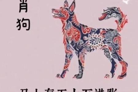 五行格局揭秘：狗年运势如何，性格解析告诉你关键