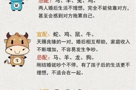 理考试解析：如何通过八字改运？合婚应该关注哪些关键点？