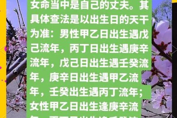 命理几朵桃花与运势关联，揭秘如何通过桃花调整命运