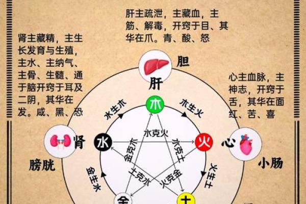 五行格局揭秘：黄属五行，揭秘你的性格潜能