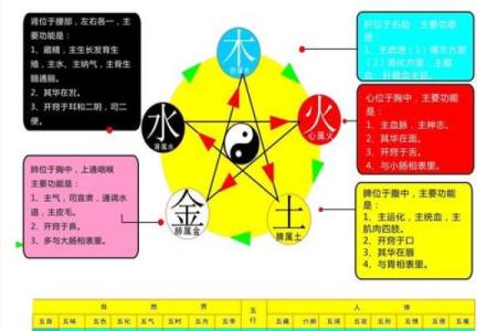 性格解析新视角：五行如何揭示你的内在潜能？