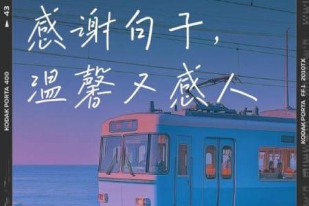 妈妈的生日：温馨庆祝，亲情养生之道