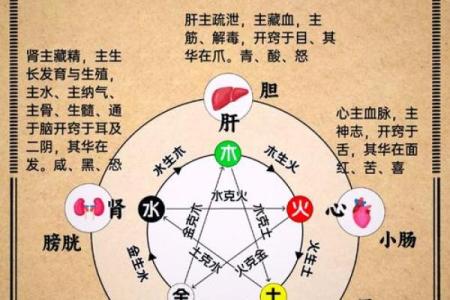 五行格局揭秘：黄属五行，揭秘你的性格潜能