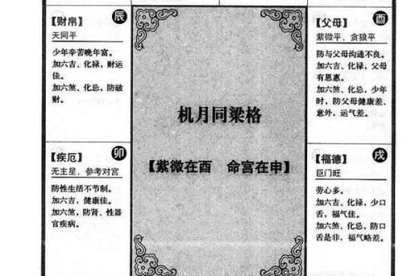 紫薇命理深度解析：命运不同，合婚需要注意哪些关键点？