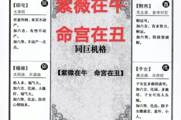 紫薇命理深度解析：命运不同，合婚需要注意哪些关键点？