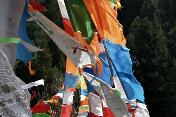 藏族转经节：心灵净化，感受藏族宗教文化