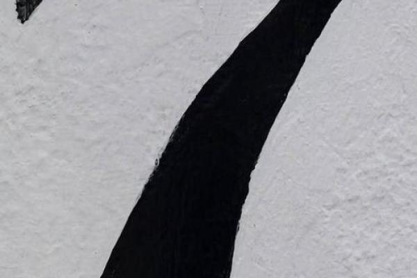 荷五行格局重塑：告别性格局限，开启全新人生篇章