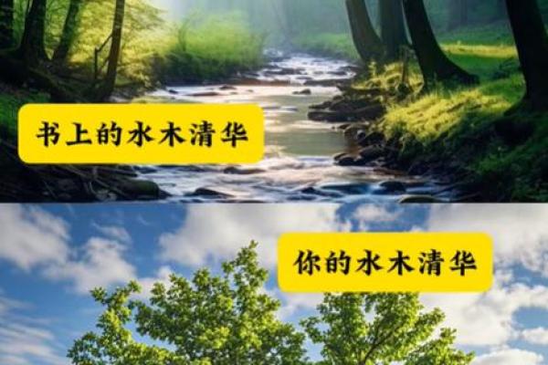 曦性格解析反常识指南：如何利用五行格局，反而获得成功？