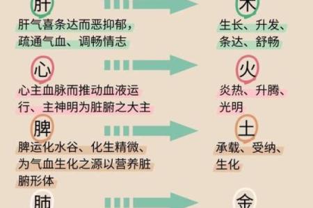 如何改变五行格局？解锁性格潜能的神奇方法
